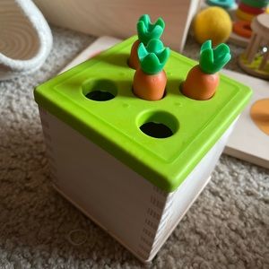 Lovevery Carrot Box